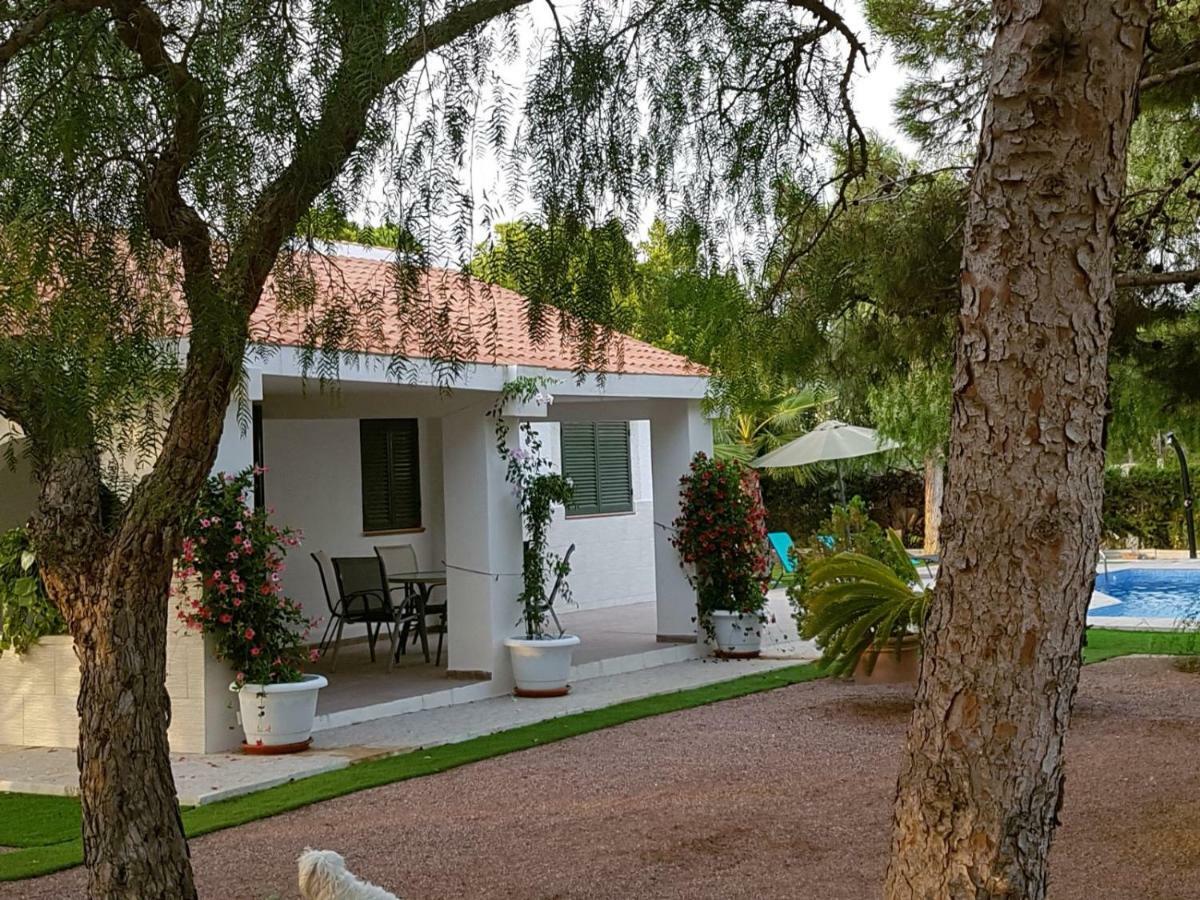 Chalet Bacarot لقنت المظهر الخارجي الصورة